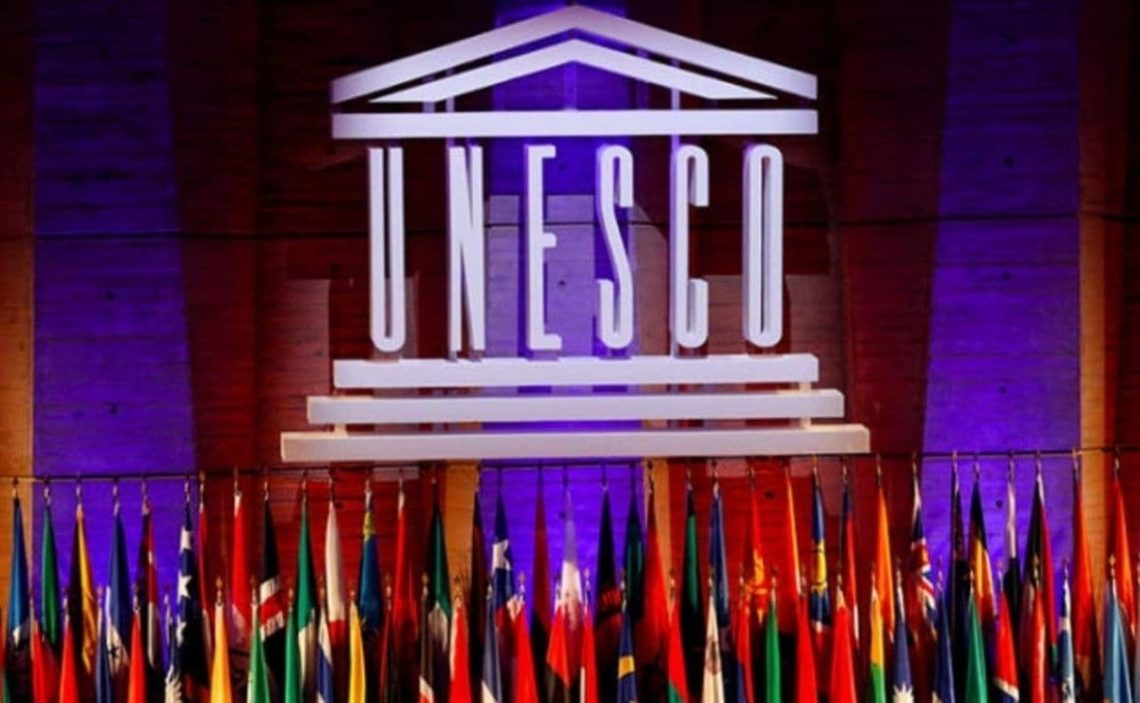 Día Internacional De La Unesco Dale Concepción
